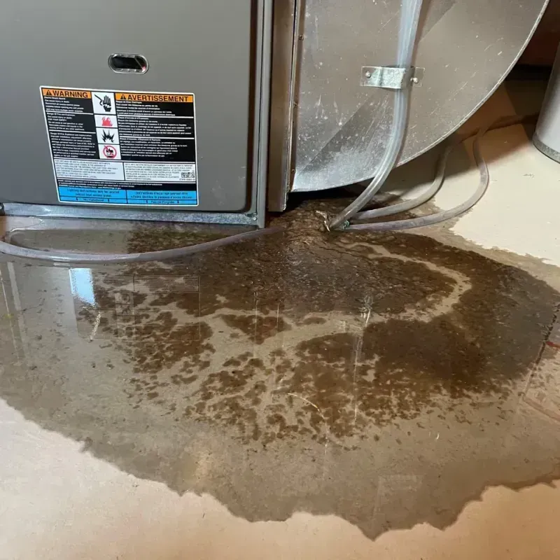 Appliance Leak Cleanup in Harbor Springs, MI